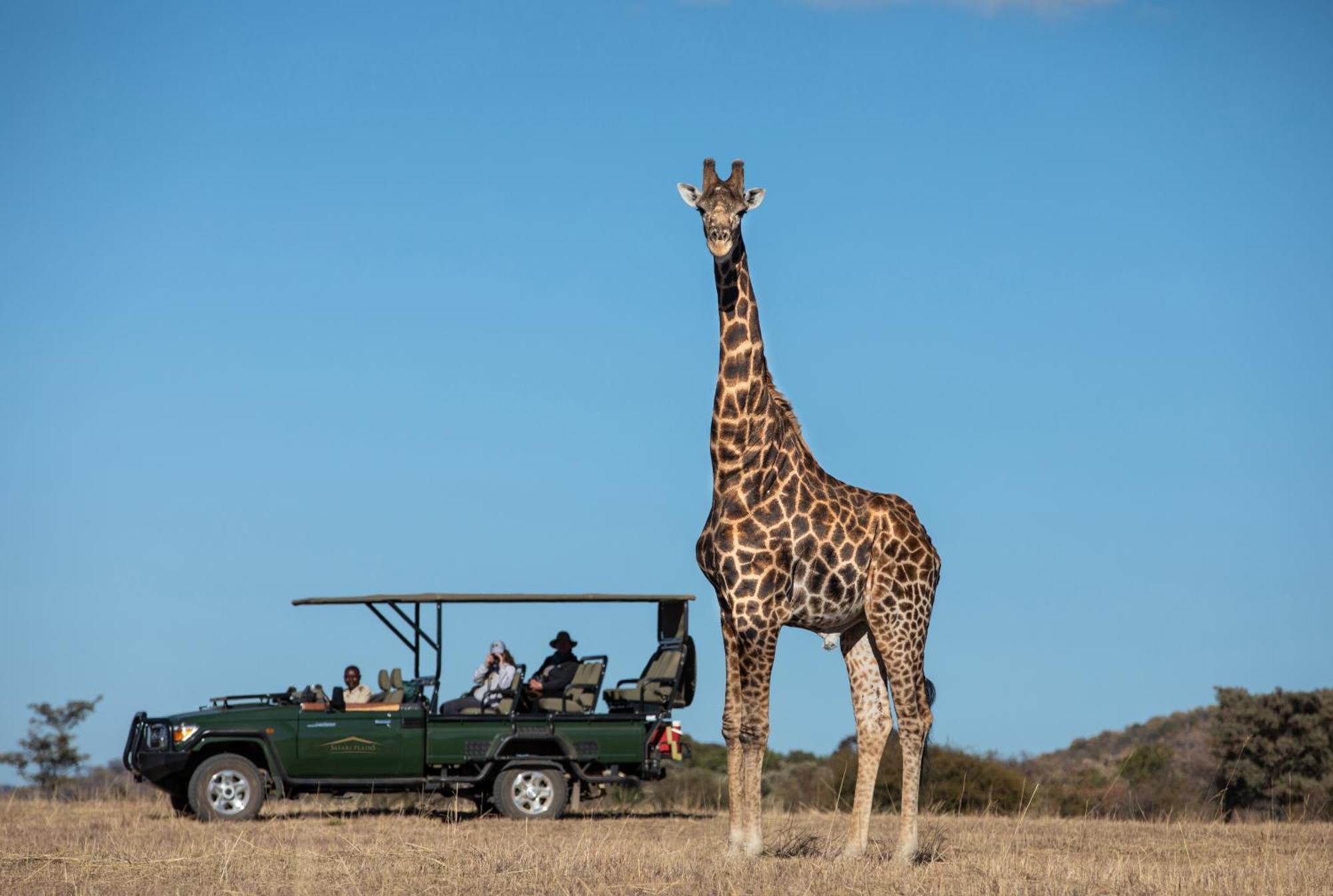 Safari Plains Villa Mabula Game Reserve Luaran gambar