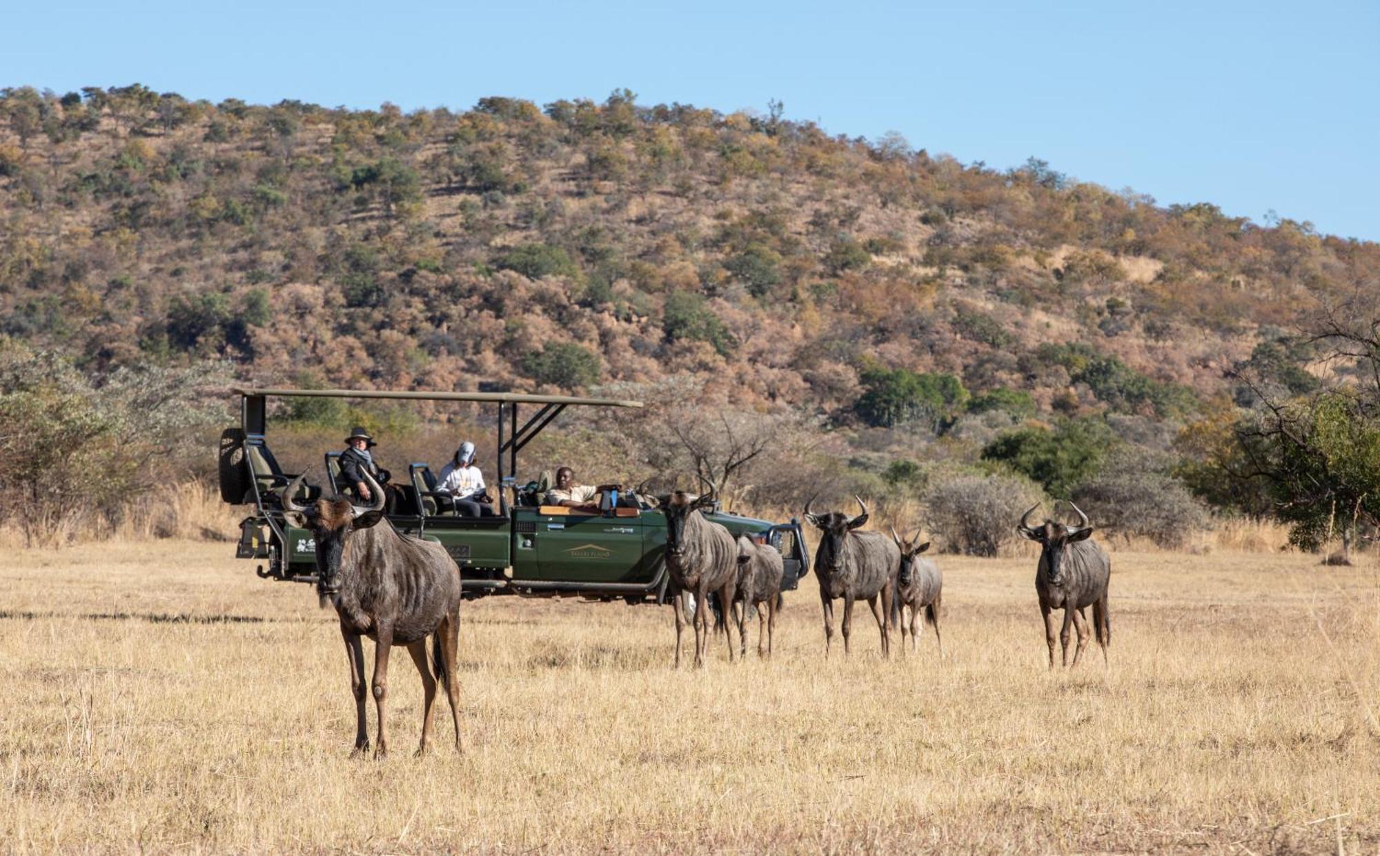 Safari Plains Villa Mabula Game Reserve Luaran gambar