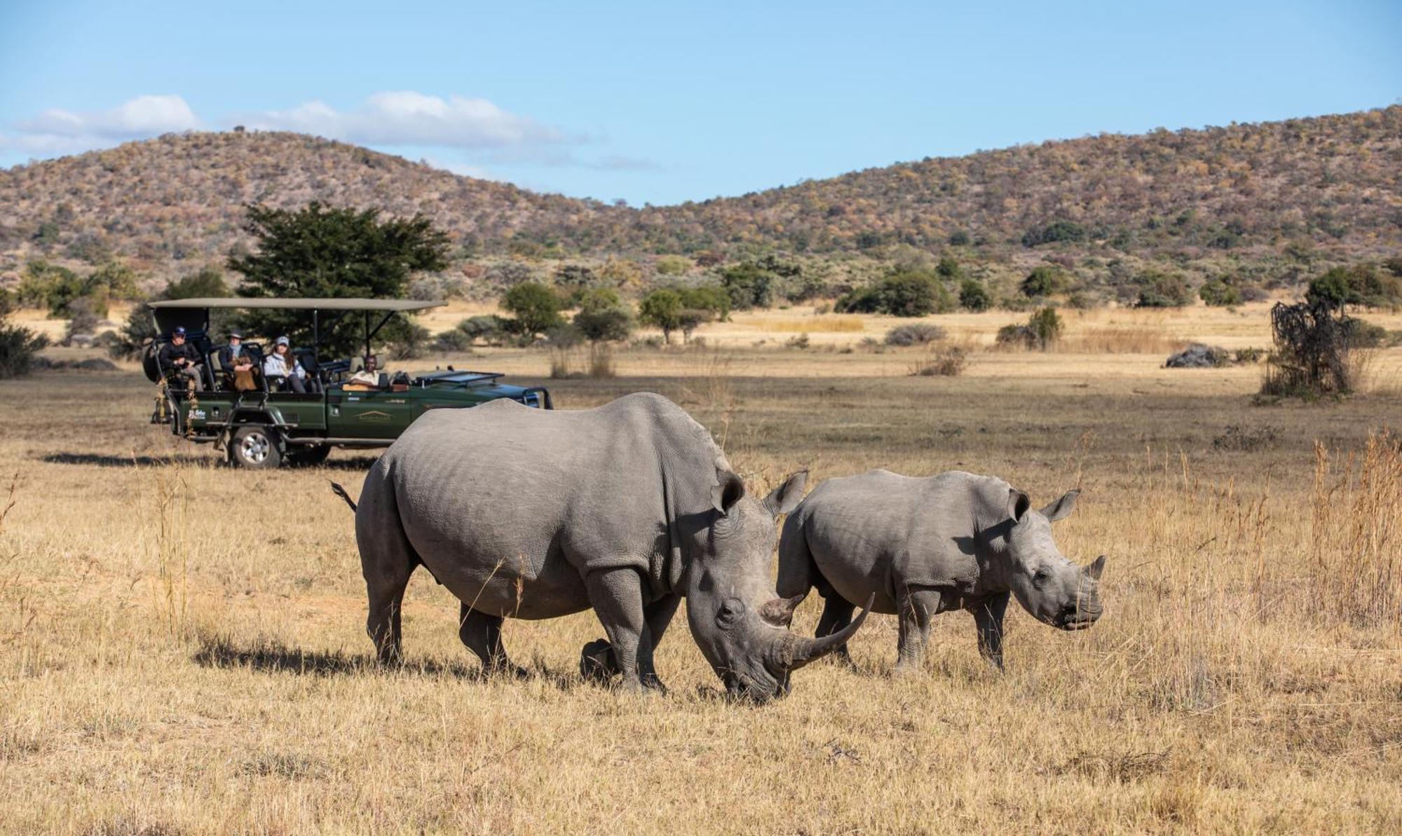 Safari Plains Villa Mabula Game Reserve Luaran gambar