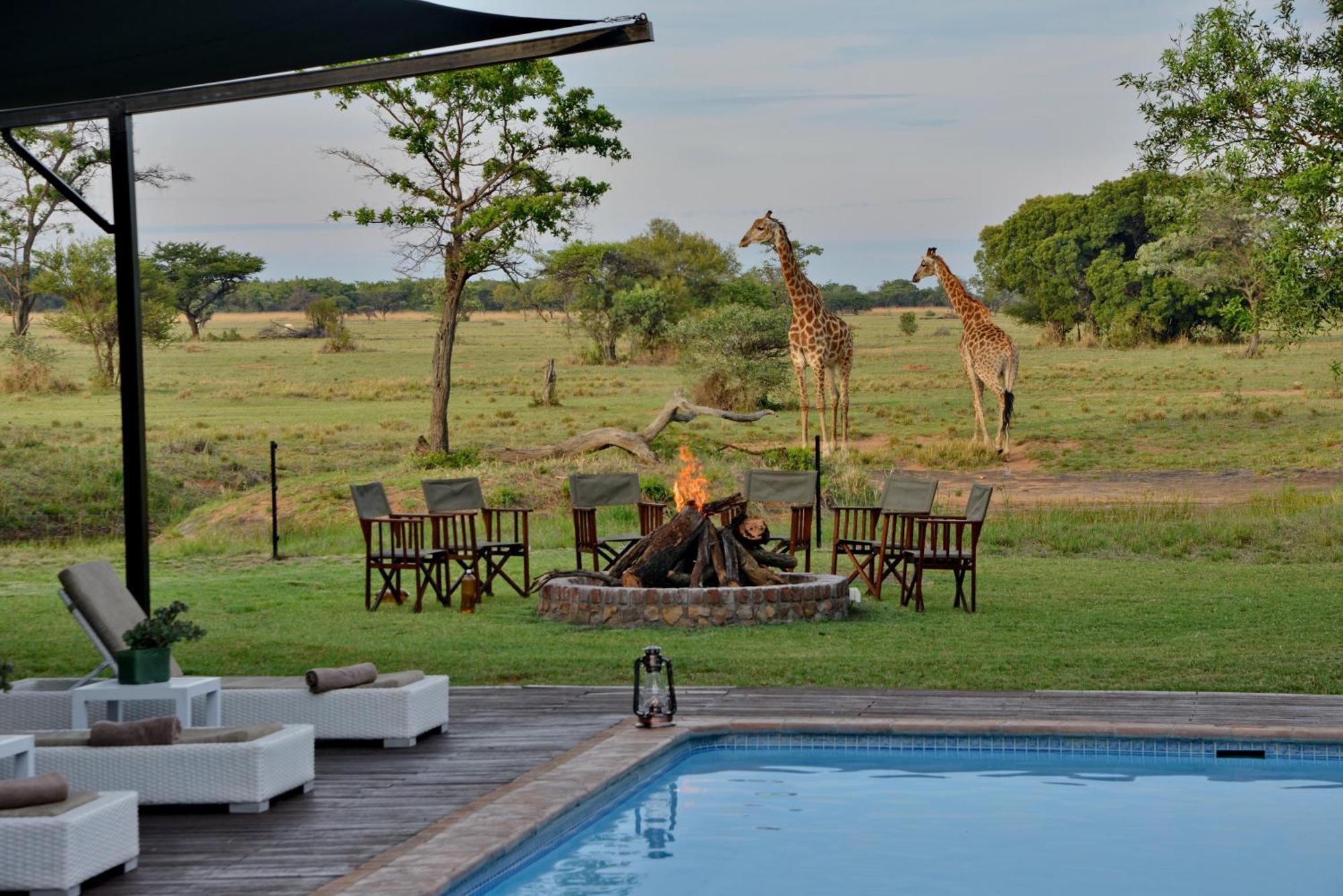 Safari Plains Villa Mabula Game Reserve Luaran gambar